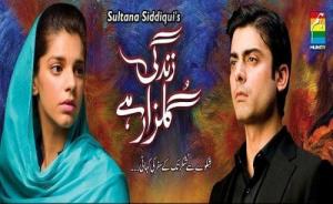 Sanam Saeed as the scowling Kashaf and Fawad Khan as the arrogant moralistic Zaroon